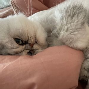 Meet your Posher, Adrianne